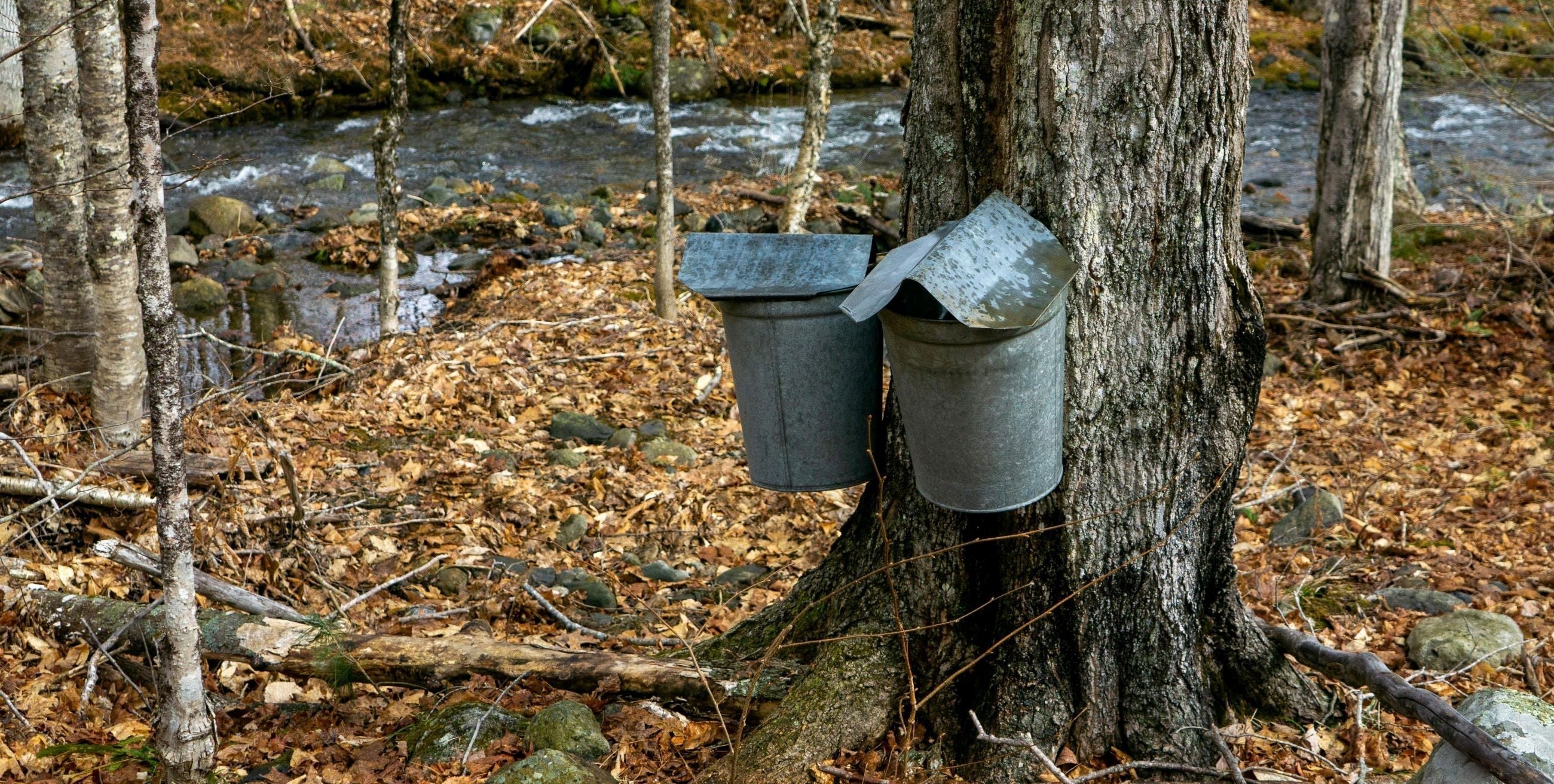 Sweetwater Ceremony - Katarokwi Grandmother's Council